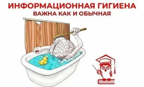 Информационная гигиена