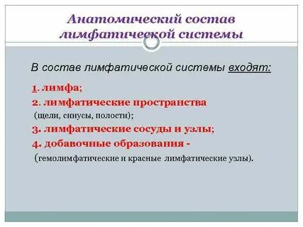 Состав анатомии