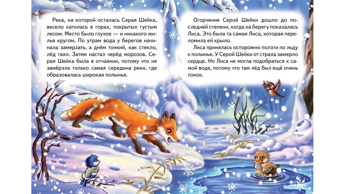 У серой шейки замерло сердце. Сказка мамин Сибиряк серая шейка. Мамин Сибиряк серая шейка текст. Прочитать сказку серая шейка. Текст сказки мамин Сибиряк серая шейка.