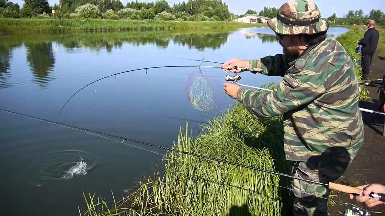 Егорьевский рыбный комбинат цна. Цна рыба. Хищная рыба на реке мста с. Егорьевский рыбокомбинат цна. Река цна рыбалка.