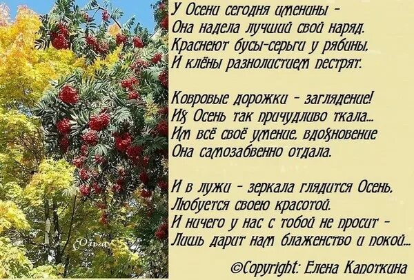Цитата о калине. Калина гроздь. Стихотворение про рябину. Осень калина стихи. Стихи о калине.