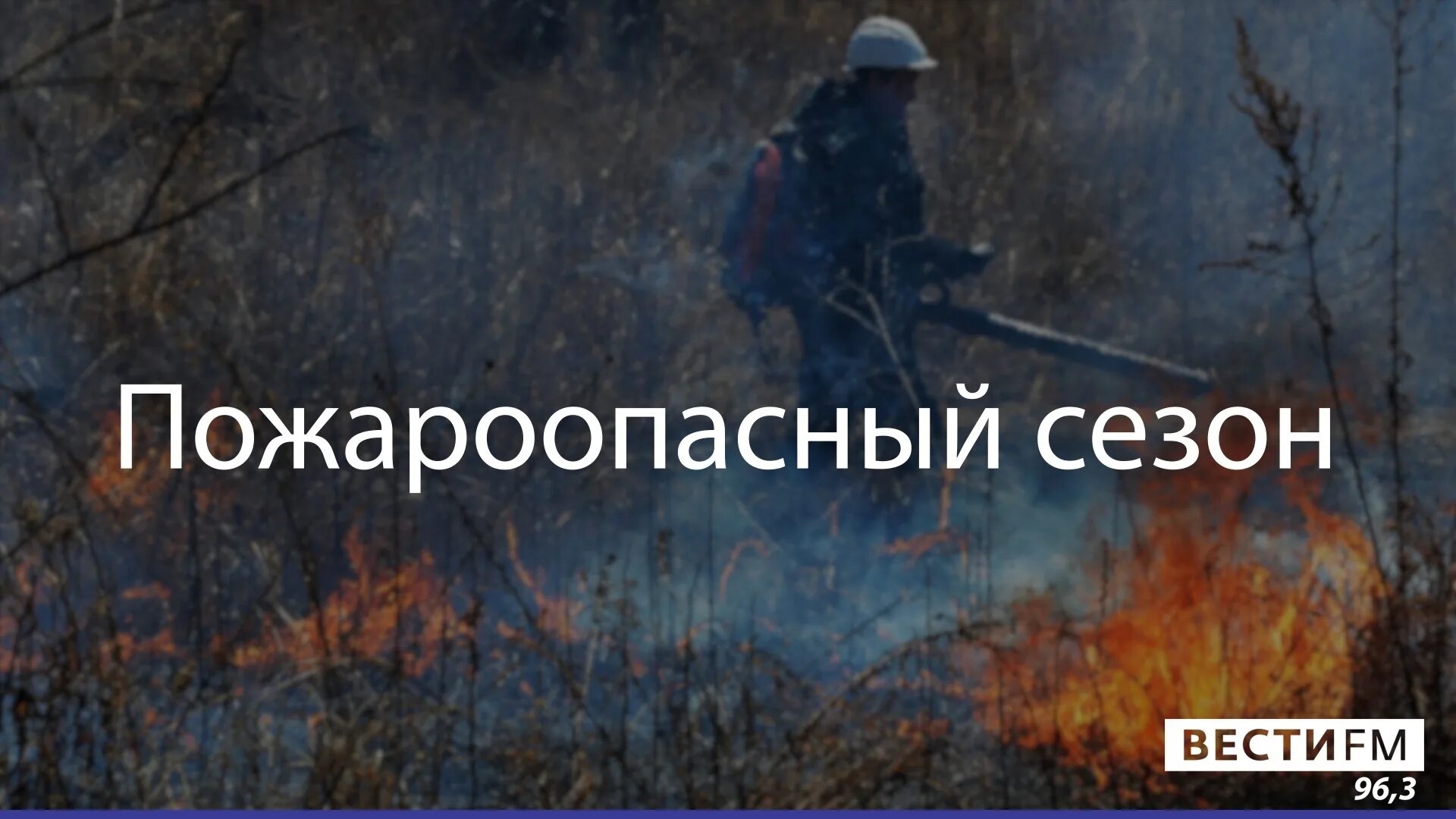 Введен противопожарный режим. О запрете открытого огня. Противопожарный режим воронеж 2024