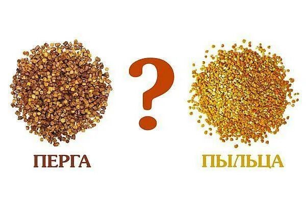Заскоком и пыльцой в голове значение