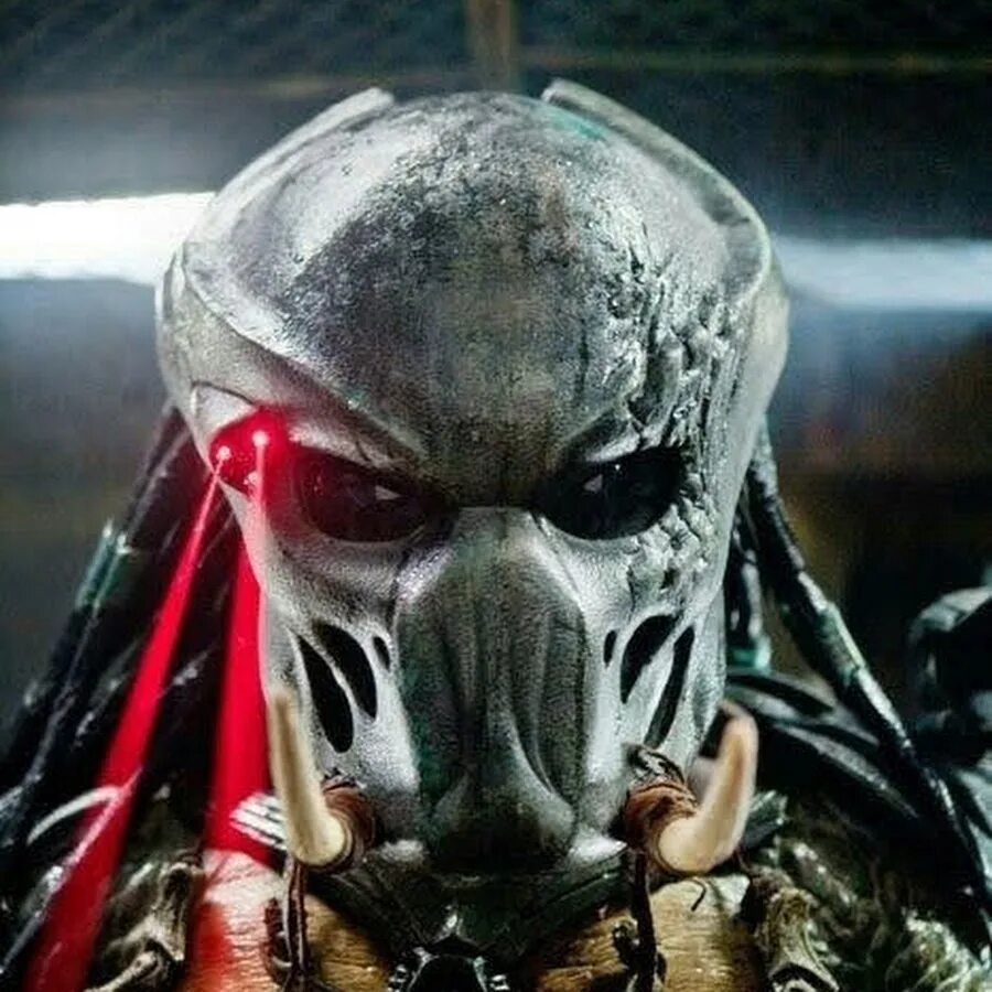 Predator new mutant arctic pnmice
