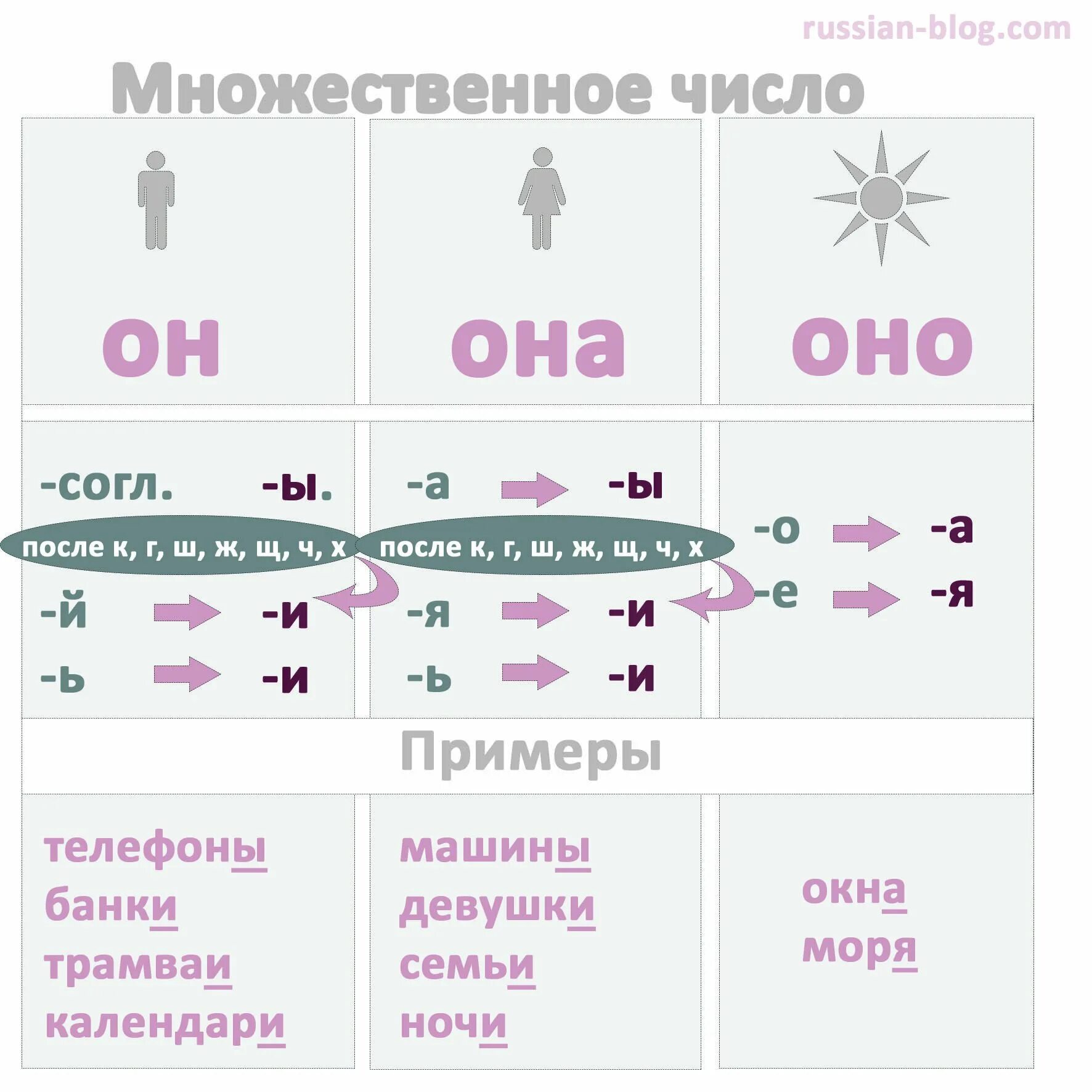 Как образовывать множественное число в русском языке. Множественное число существительных в русском языке правило. РКИ множественное число существительных. Как образовать множественное число существительных в русском языке.