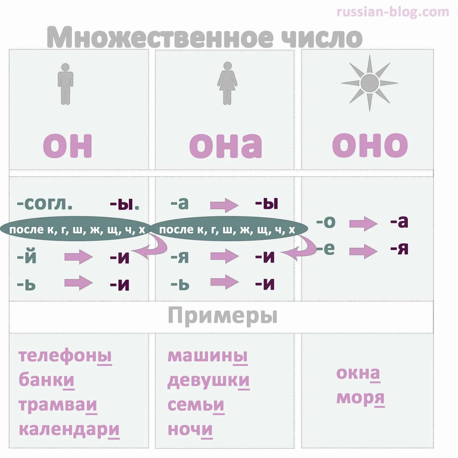 Множественное число в русском языке таблица. Образование множественного числа существительных в русском языке. РКИ множественное число существительных. Как образовать множественное число существительных в русском языке. Множественное число правило русский