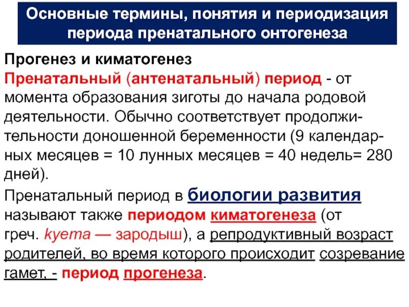 Прогенез и его биологическое значение. Антенатальный и пренатальный период. период прогенеза. онтогенез прогенез. периоды онтогенеза прогенез.