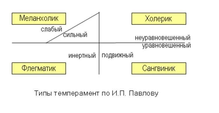 По павлову классификация типов темперамента строится. Типология темперамента по павлову. типы темперамента и. п. павлова —. классификация типов темперамента по павлову. тип темперамента флегматик по павлову.