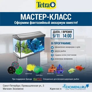 Тетра петербург