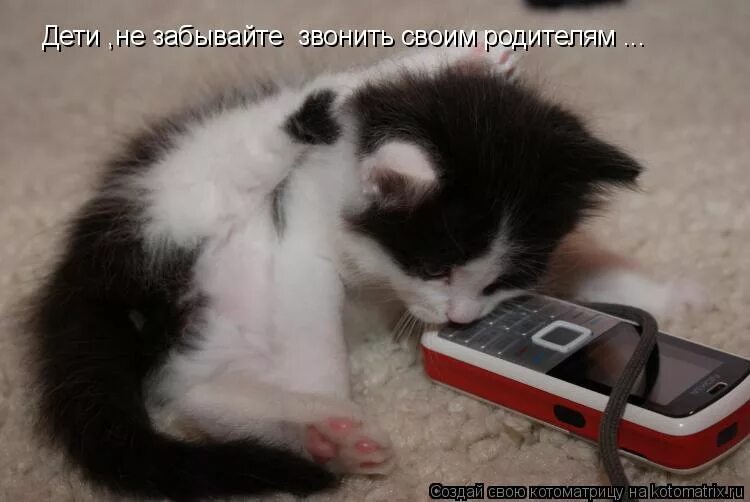 Звони подожди. "урааа! дождалась он звонит. Так и не позвонил. Ждала звонка и не дождалась. Ура наконец то.