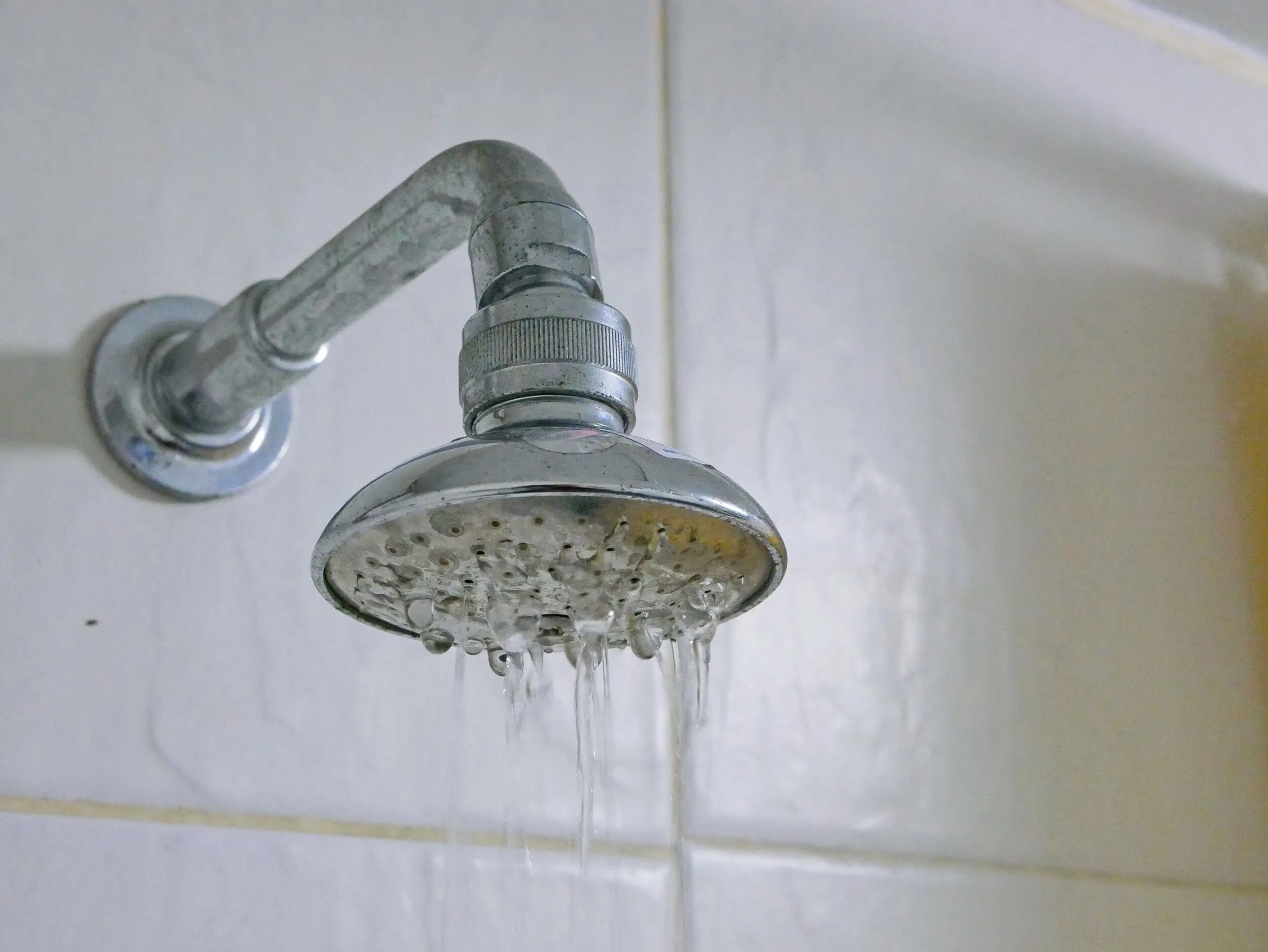 Лейка для душа с накипью. Dirty shower. Душевое приспособление. Dirt shower. Dirty shower.