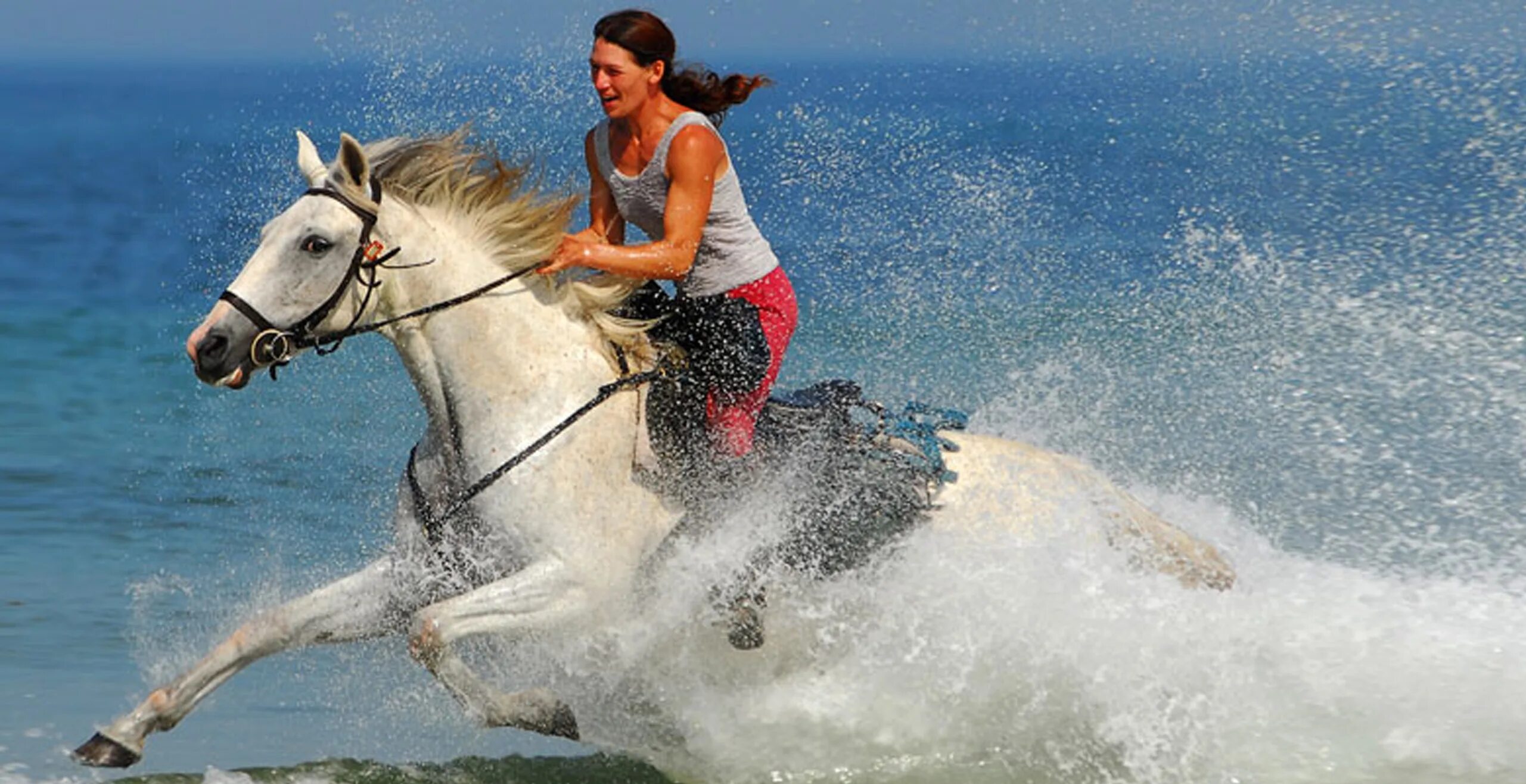 Фотосессия с лошадью на море. Девушка на лошади по берегу. Девушка на лошади вдоль моря. Девушка скачет на лошади по берегу.