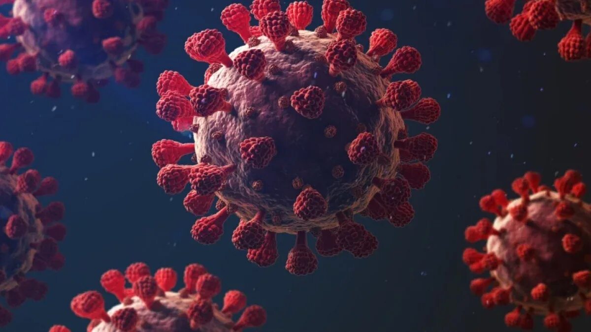 Вирус covid-19. Вирус ковид 19. Коронавирус ь. Вирус х 2024. Covid-19.