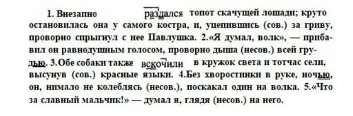 Вдруг раздался выстрел. Внезапно раздался топот скачущей лошади круто остановилась. русский язык 7 класс внезапно раздался топот скачущей лошади. русский язык 7 класс упражнение 203. внезапно раздался.