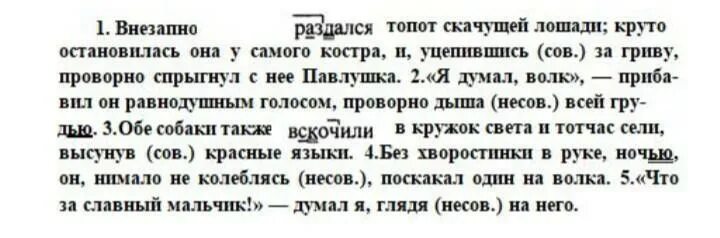 Вдруг раздались странные. Внезапно раздался топот скачущей. Внезапно раздался топот скачущей лошади круто. Русский язык 7 класс внезапно раздался топот скачущей лошади. Русский язык 7 класс упражнение 203.