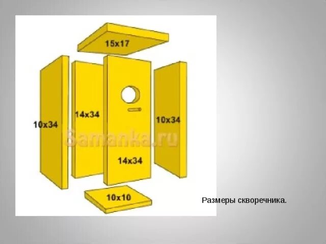 Чертеж скворечника с размерами 7 класс Уход за плодовыми и ягодными культурами в первую половину вегетационного сезона