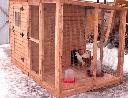 Зимний курятник своими руками на 10 кур
