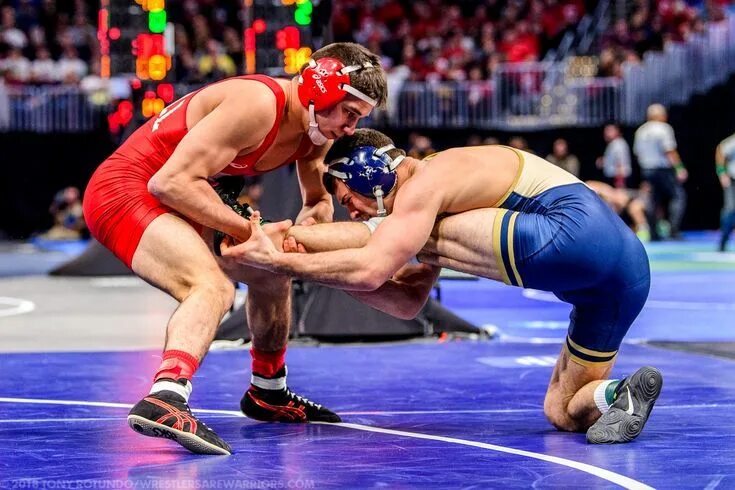 Wrestling championships