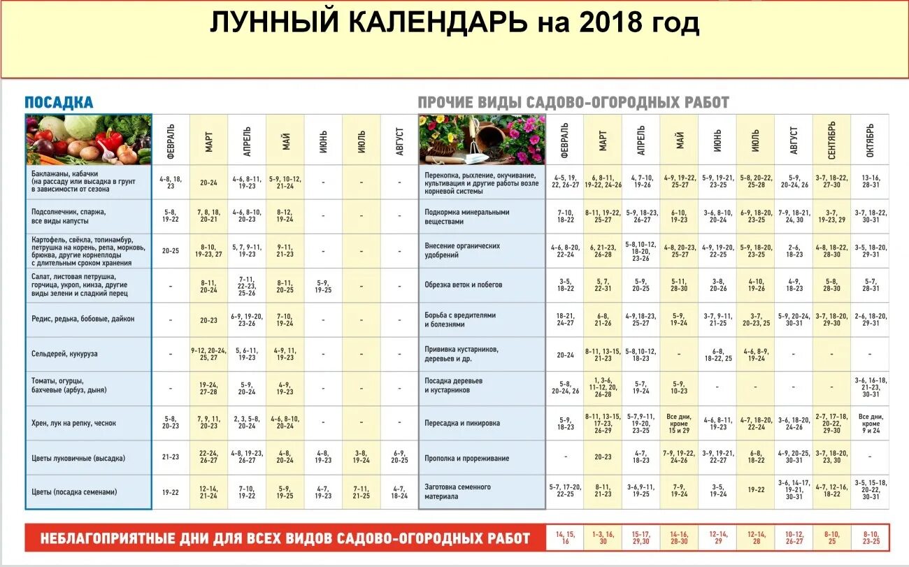 Укроп лунный календарь. Календарь посадок. Календарь посадки рассады. Лунный календарь для посадки рассады. Благоприятные дни для посадки рассады.