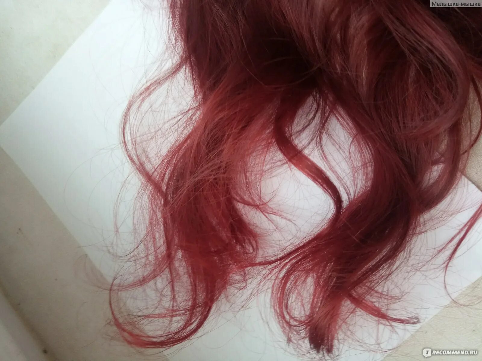 Тоника 6.55 Bloody. Красные волосы без осветления на темных волосах