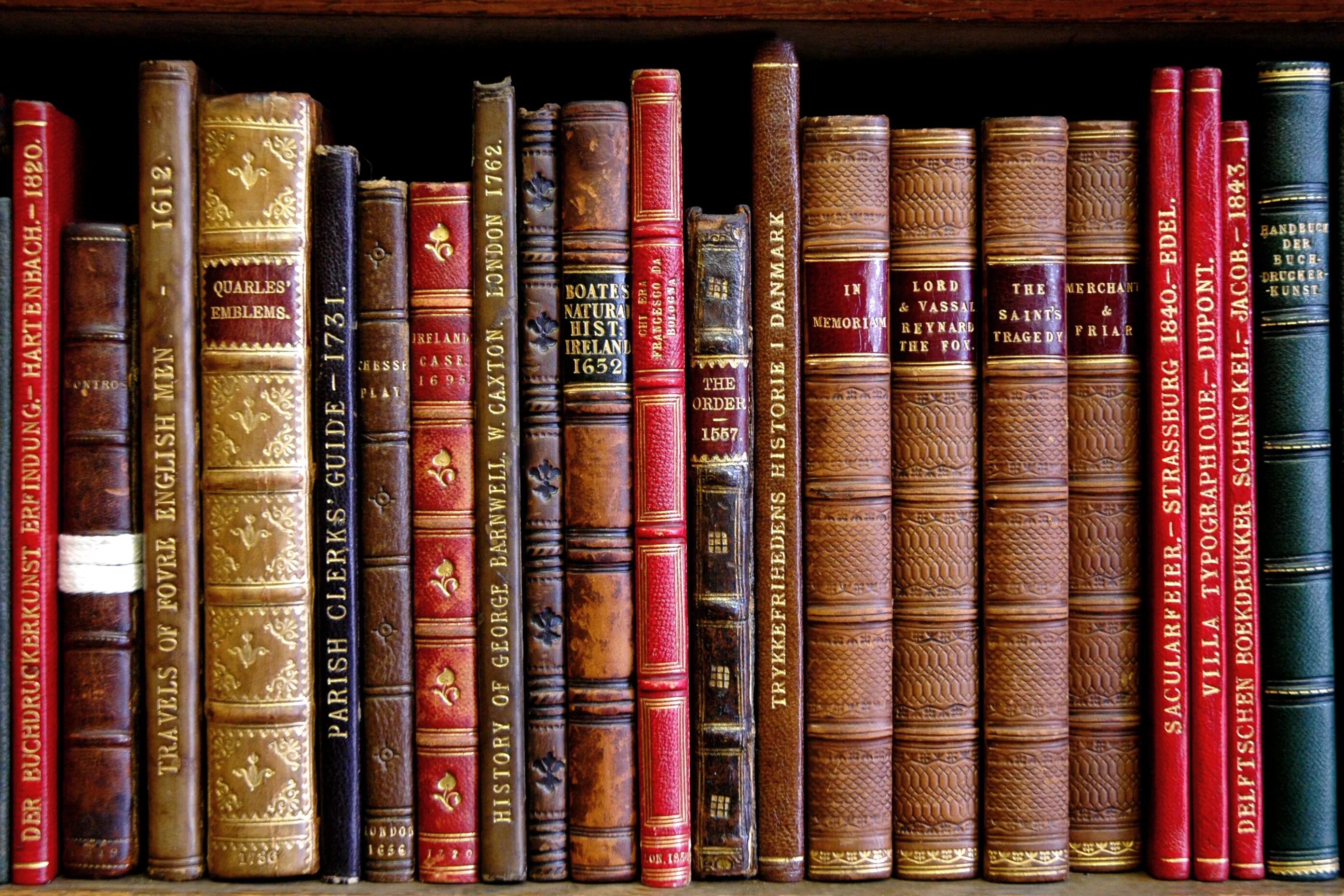 На книжной полке стоят книги. Корешки книг гарри поттер. книги на полке. корешок книги. красивые корешки книг.