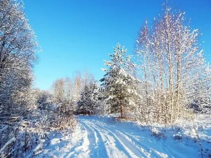 Декабрь лето