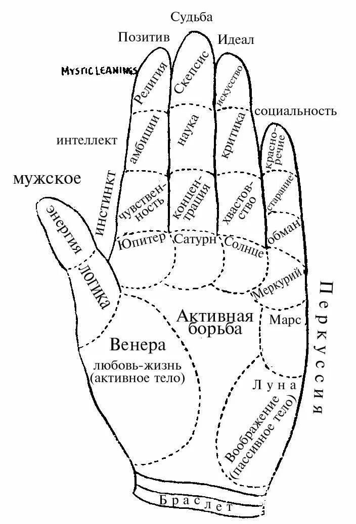 Где ладонь. Схема ладони в хиромантии. Рука хиромантия схема. Хиромантия линия на холмах на ладони. Холмы на руке хиромантия.