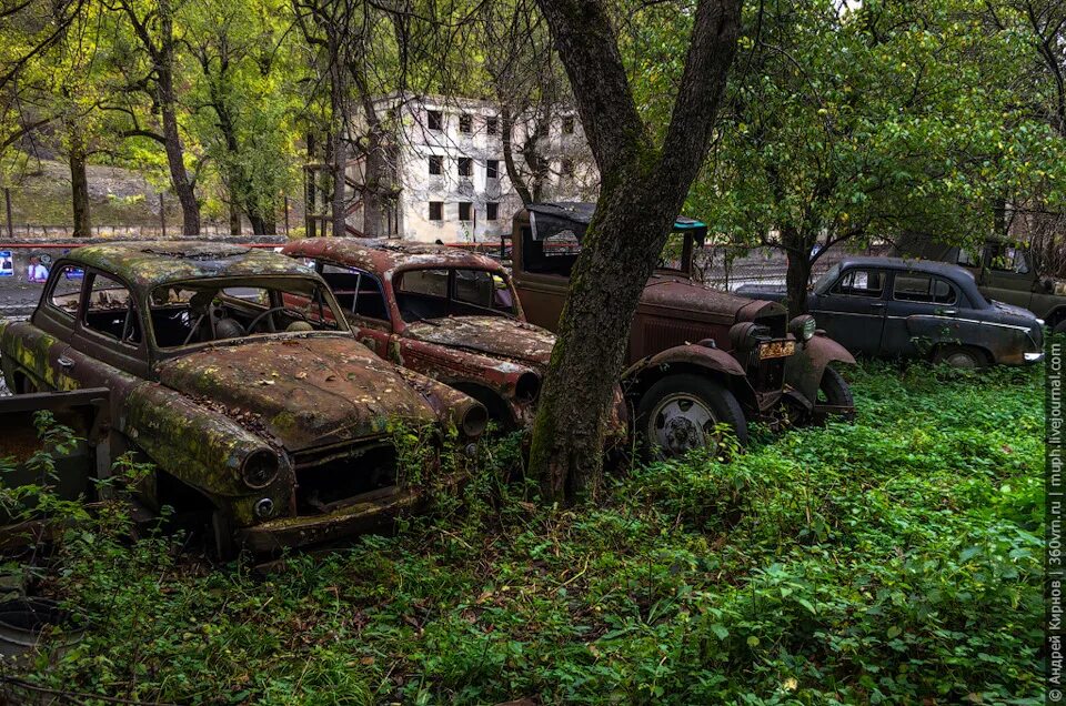 Кладбище машин в японии. Кладбище заброшенных автомобилей в сша. Брошенные автомобили в лесу. Заброшенные машины в городе. Апокалипсис брошенные машины.
