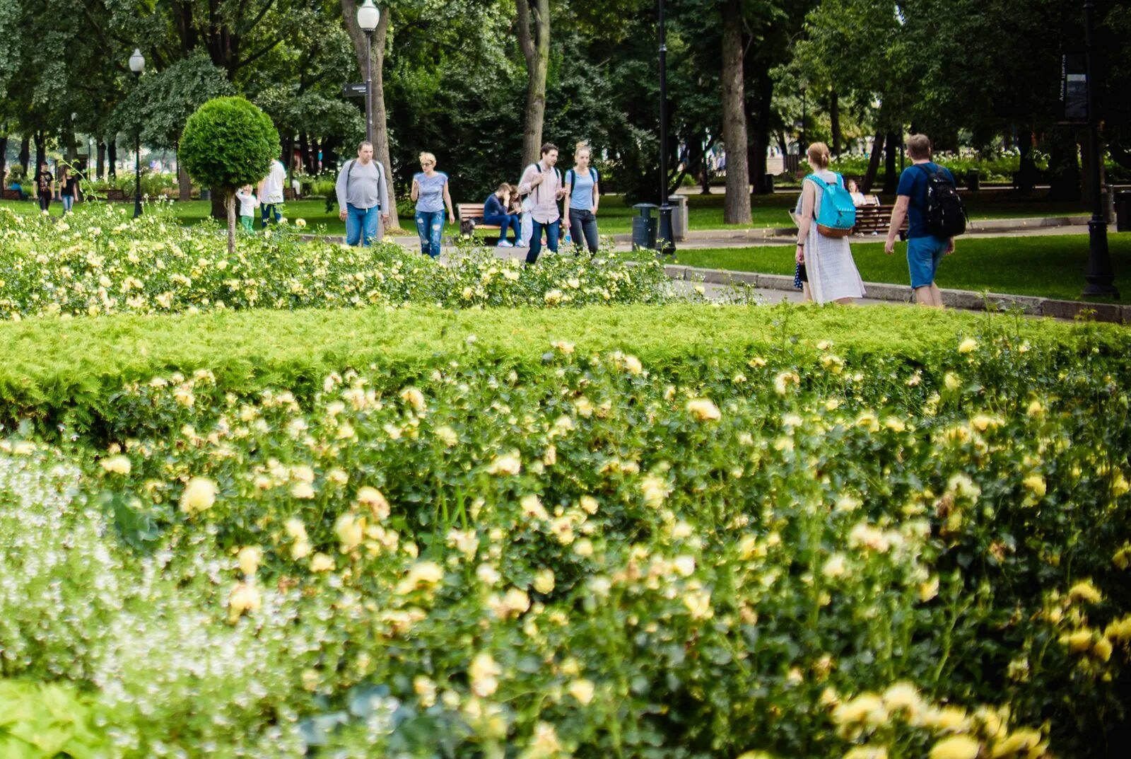 Москва парк сокольники парк сокольники. Парк сокольники москва. Амурский парк. Таганский парк культуры и отдыха. Парк сокольники 2023.