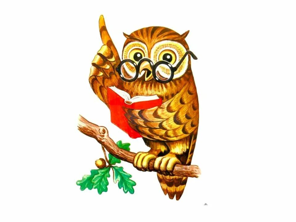 Народная мудрость картинки. Мудрость народа. Мудрые арабские высказывания. Мудрая сова картинки. День народной мудрости.