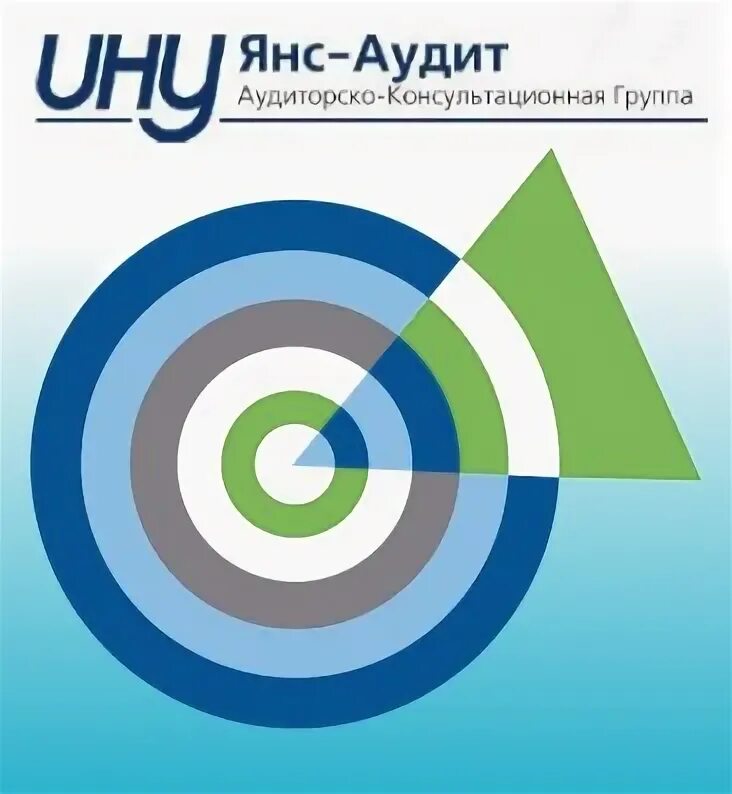 Аудит и консалтинг. Янс кз. Vn logo. Алсер интернет магазин. Янс астана.