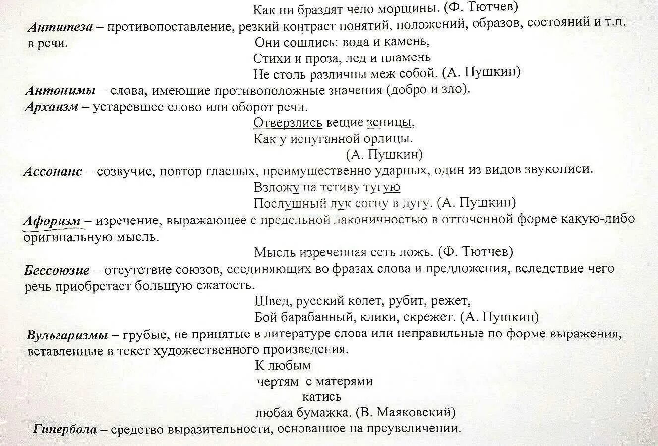 Критерии 26 задания егэ русский 2024. Термины ЕГЭ. 26 Задание ЕГЭ русский. Термины для 26 задания ЕГЭ русский. Термины по русскому языку ЕГЭ.