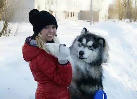 Студентка собак