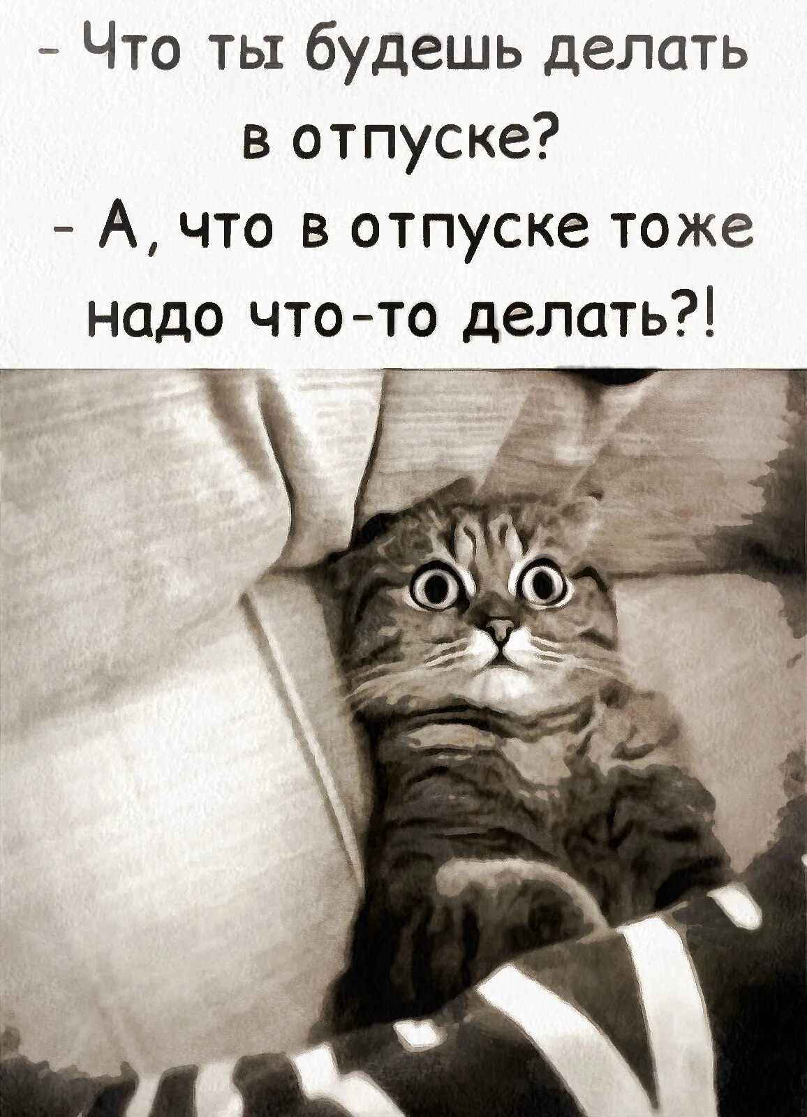 Всем тоже надо работать как пишется. Кем ты хочешь работать когда вырастешь я хочу работать. Кем ты хочешь работать когда вырастешь я хочу работать картинки. Кот сегодня твоя очередь идти на работу. Я котик.