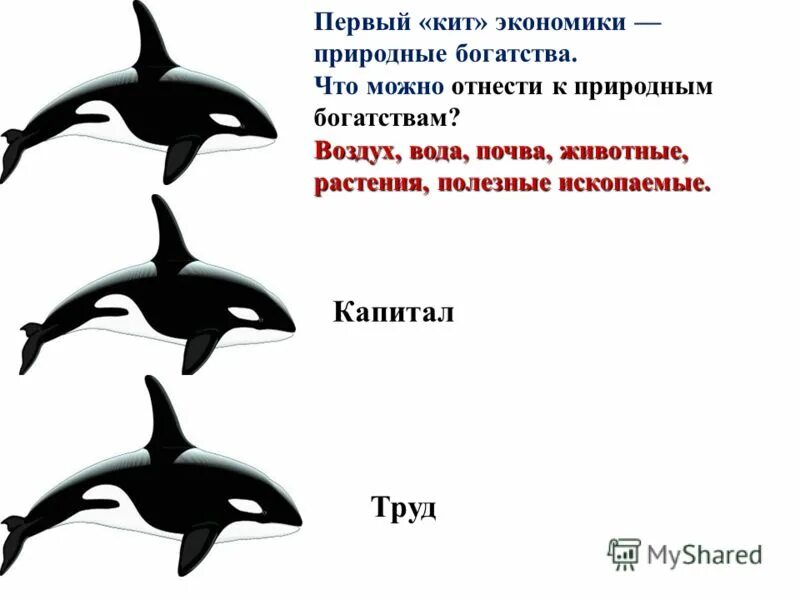 3 кита экономики 3 класс. Три кита экономики. Три кита экономики 3 класс окружающий мир. Презентация на тему три кита экономики. Три кита экономики 3 класс окружающий мир презентация.