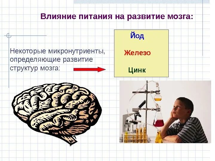 Влияние пищи на мозг. Развиваем мозг. Влияние книг на мозг. Влияние чтения на мозг человека.