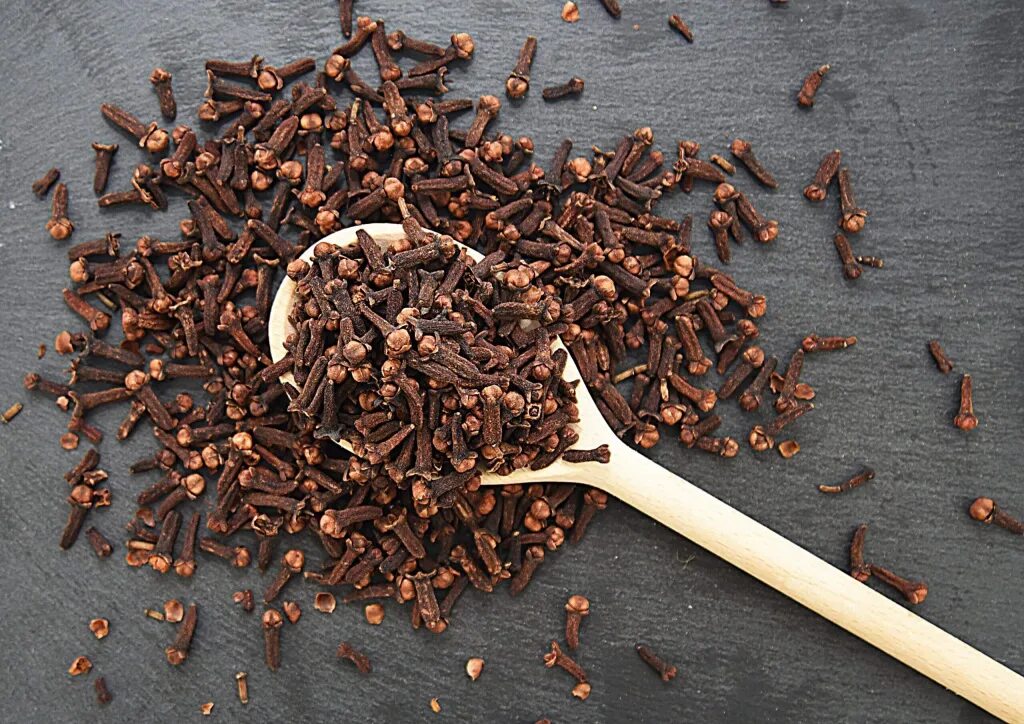Цветы гвоздики приправа. Гвоздика семена гвоздичного дерева. Гвоздика душистая специя. Высушенная гвоздика. Гвоздика семена приправа.
