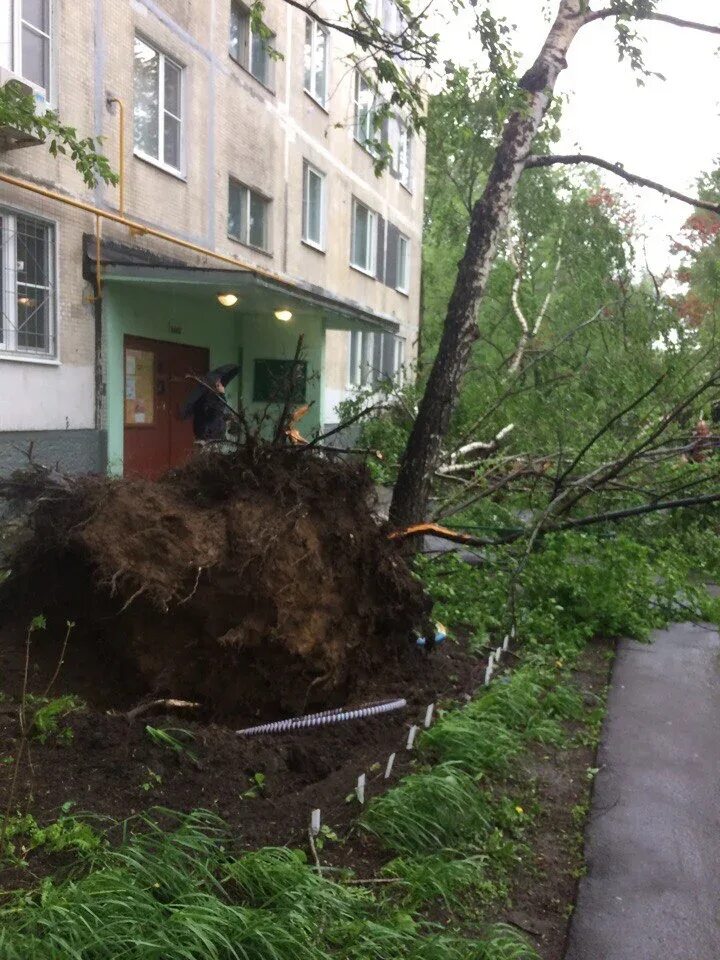 Ураган в Москве сейчас. Ураган в Москве сегодня. Жертвы урагана в Москве 13.11.2022. Ураган в Пангодах.