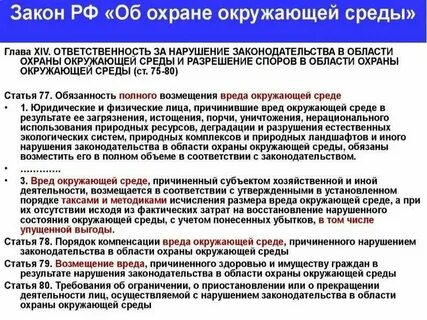 Принципы возмещения экологического вреда