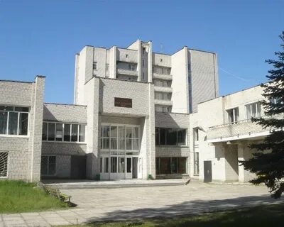 Сосновый бор владимирская область