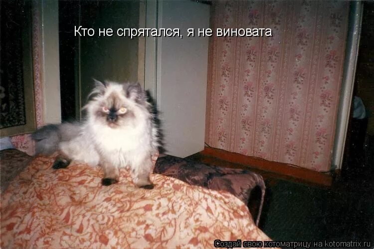 Не спрячешься я тебя найду
