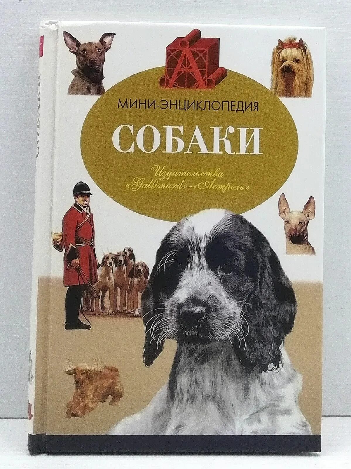 Книги про собак. Энциклопедия о собаках. Книга про собаку поводыря.