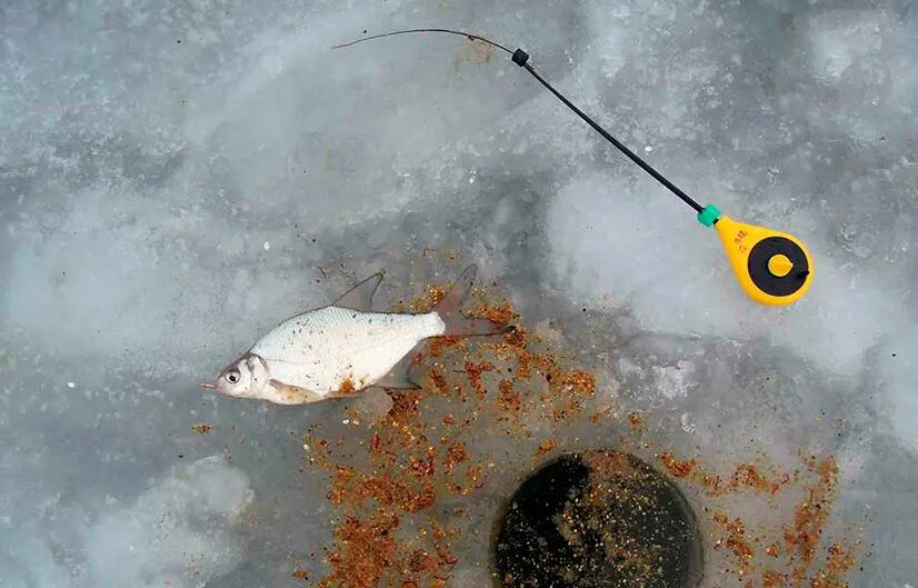 Мормышки для зимней рыбалки. Снасть на густеру зимой. Ловля на мормышку зимой. Рыбалка на мормышку зимой. Прикормка на удочку