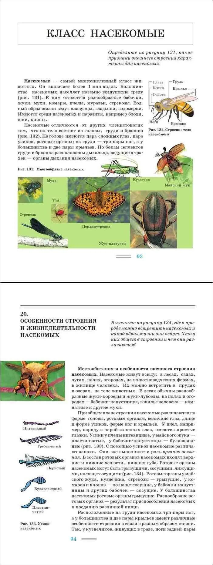 Биология 7 класс Никишов. Никишов Шарова биология животные 7 класс. Биология 7 класс учебник Никишов. Учебник по биологии за 7 класс Никишов. Никишов шарова биология 8