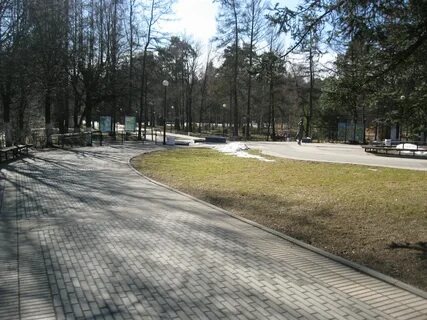 Зеленогорск санкт петербург сегодня