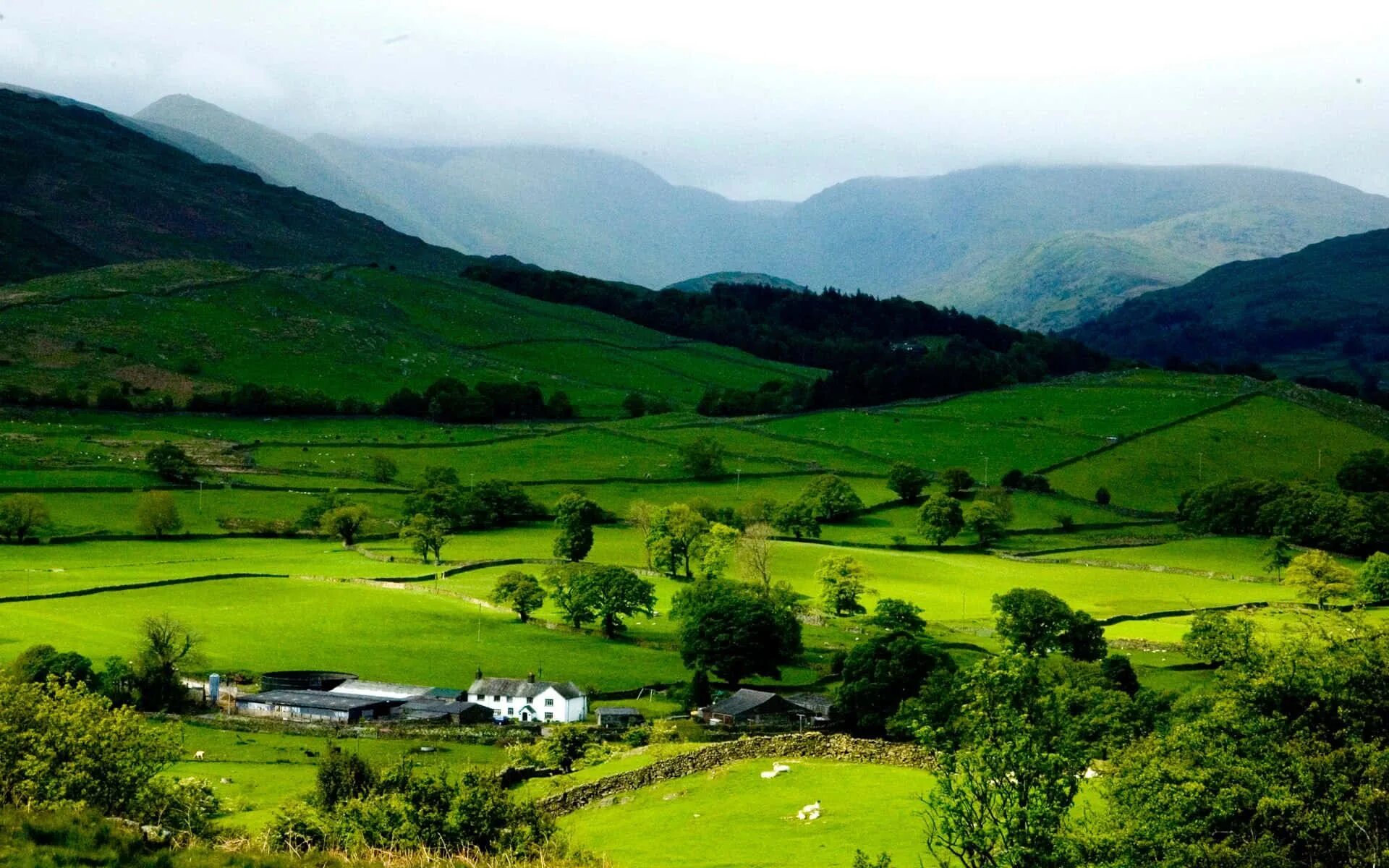 Green Hills зеленые холмы Ирландии. Сербия холмы. Паданская Долина. Долина Вансянь. The country many rivers