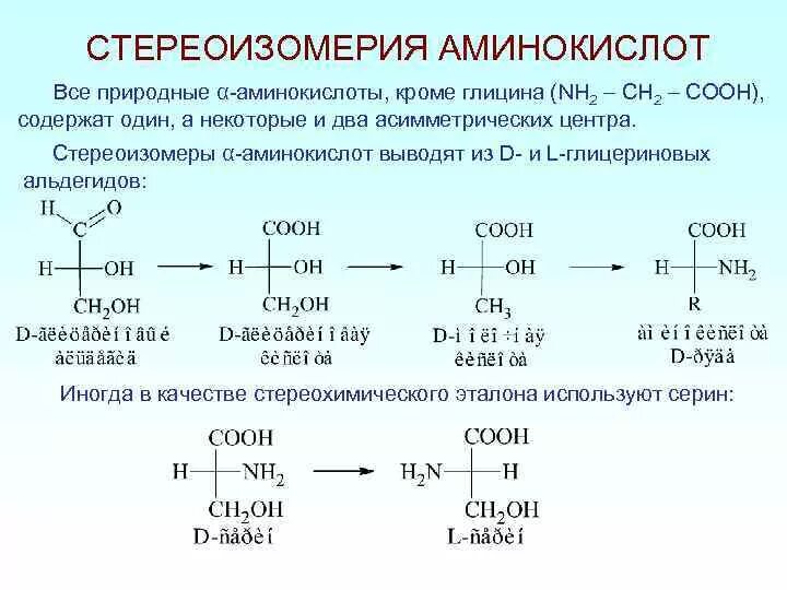 Полипептиды с азотной кислотой дают. Стереоизомерия аминокислот д и л аминокислоты. Стереоизомерия природных аминокислот. Цистеин стереоизомерия. Стереоизомеры аминокислот глутаминовой кислоты.