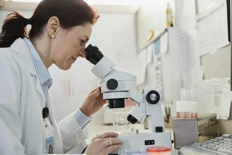 Предложили новый метод исследования