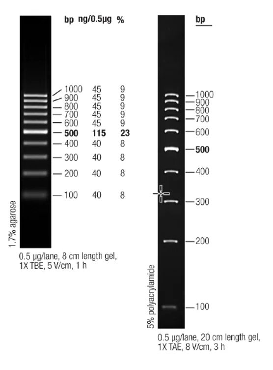 100 мкл в мл. Маркер длин днк 100bp. sm0243 маркер длин днк generuler 100 bp, 50 мкг, thermo. маркер молекулярного веса. маркер молекулярного веса bp.