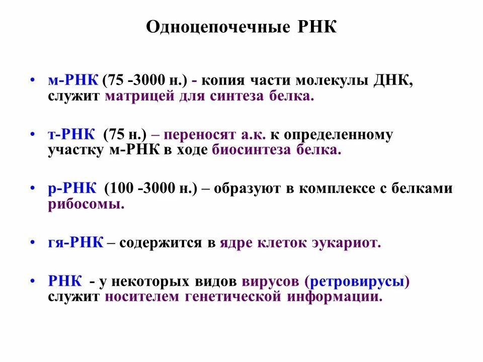 Служит матрицей для синтеза белка. Служит матрицей для синтеза РНК. ДНК служит матрицей для синтеза РНК. РНК служит матрицей для синтеза ТРНК.